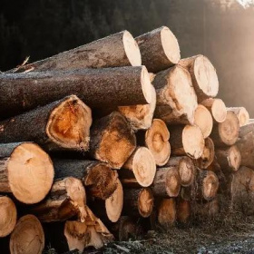 NOVÁ SUROVINOVÁ POLITIKA PRO DŘEVO